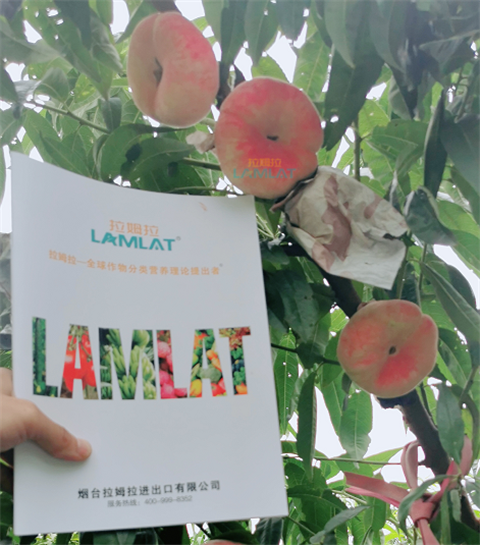 水溶肥，翠姆，拉姆拉