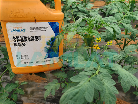 水溶肥，翠姆，拉姆拉