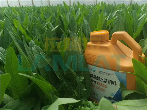 水溶肥，翠姆，拉姆拉