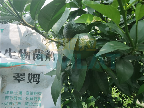 微生物菌劑，翠姆，拉姆拉