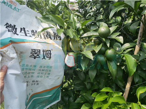 微生物菌劑，翠姆，拉姆拉