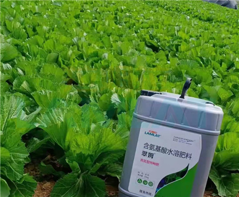水溶肥，翠姆，拉姆拉