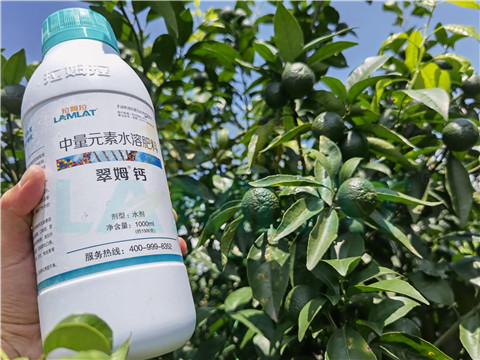 水溶肥，拉姆拉，翠姆