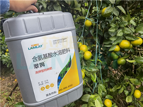 水溶肥，拉姆拉，翠姆