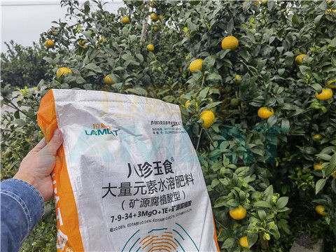 水溶肥，拉姆拉，翠姆