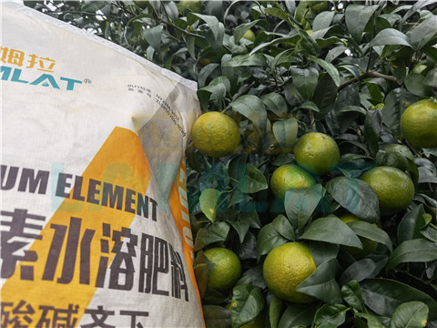 水溶肥，拉姆拉，翠姆