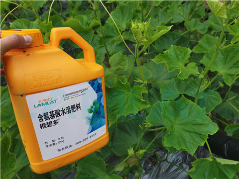 水溶肥，拉姆拉，翠姆