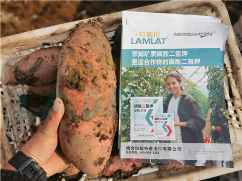 水溶肥，拉姆拉，翠姆