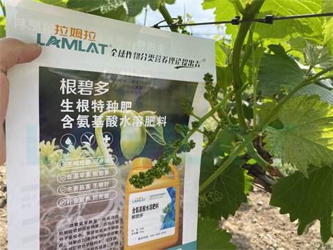 水溶肥，拉姆拉，翠姆
