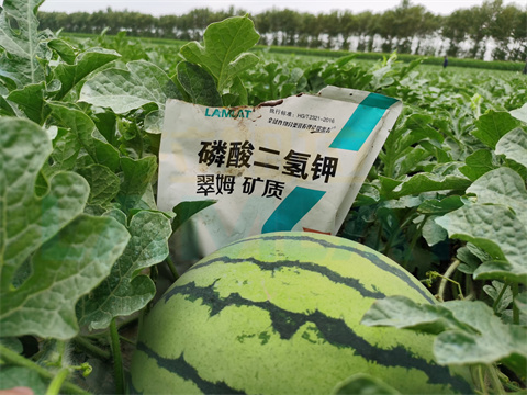 水溶肥，拉姆拉，翠姆