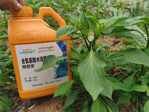 水溶肥，翠姆，拉姆拉