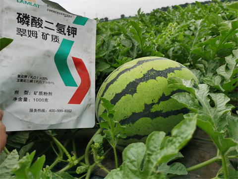 水溶肥，翠姆，拉姆拉