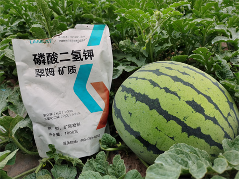 水溶肥，翠姆，拉姆拉