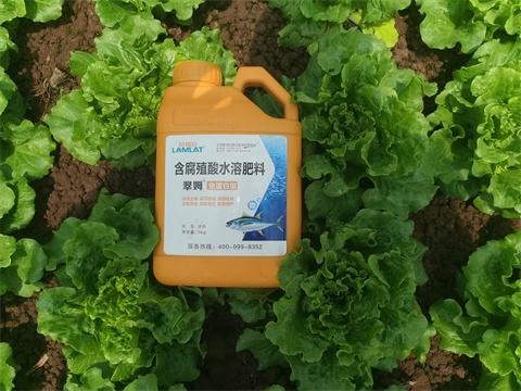 水溶肥,翠姆，蔬菜水溶肥